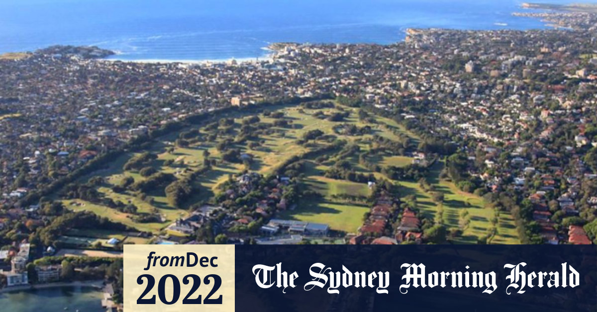 Royal Sydney Golf Club Opponents lament tree ‘massacre’ after Sydney’s